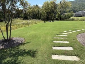 stepping-stone-pathway-gurley-fescue-outdoors